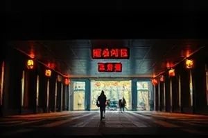 《玻璃温室》植物园穹顶内景，光线穿过格栅落在地面